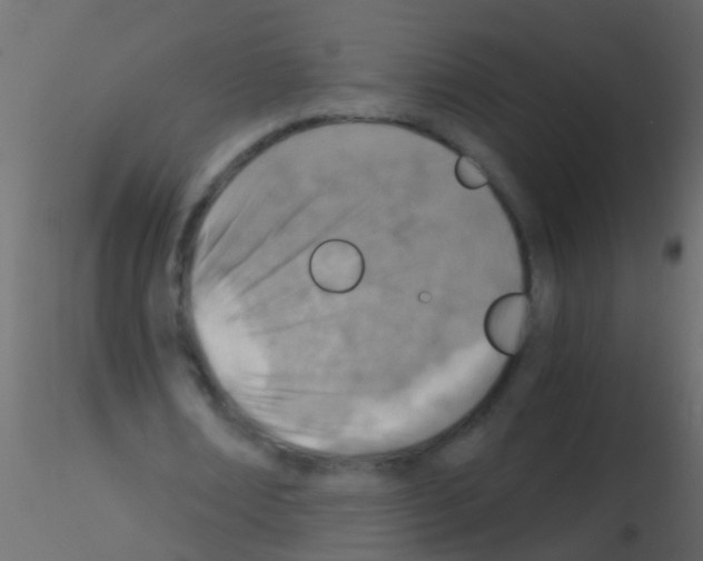 X0000115820674200912241935