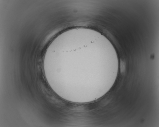 X0000115820675200912241935