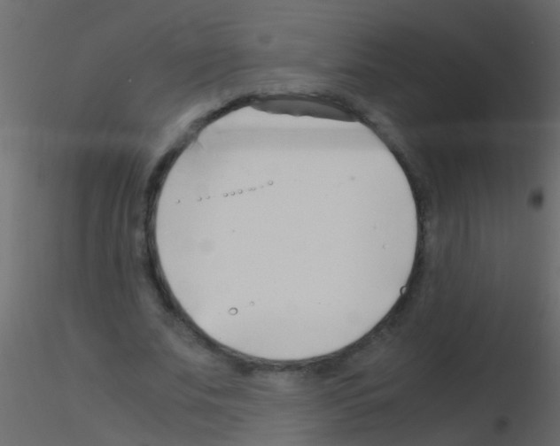 X0000115820679200912241935