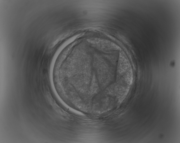 X0000115820681200912241935