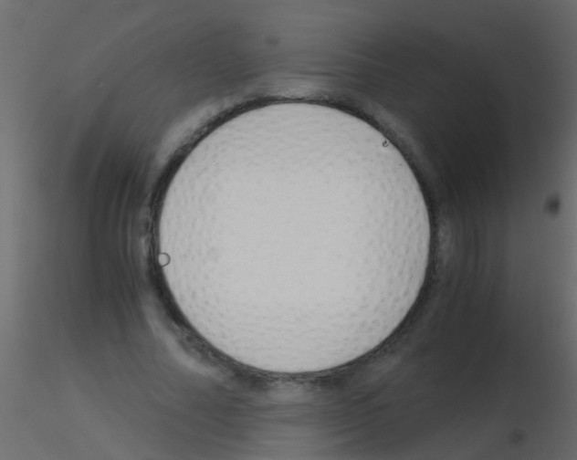 X0000115820682200912241935