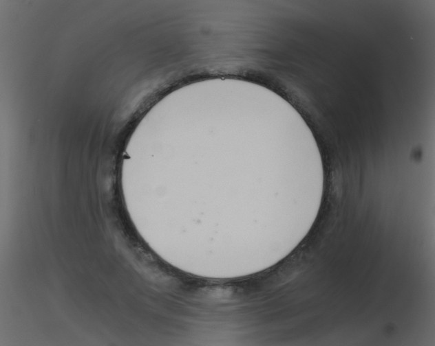 X0000115820687200912241935