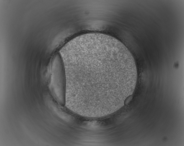 X0000115820688200912241935