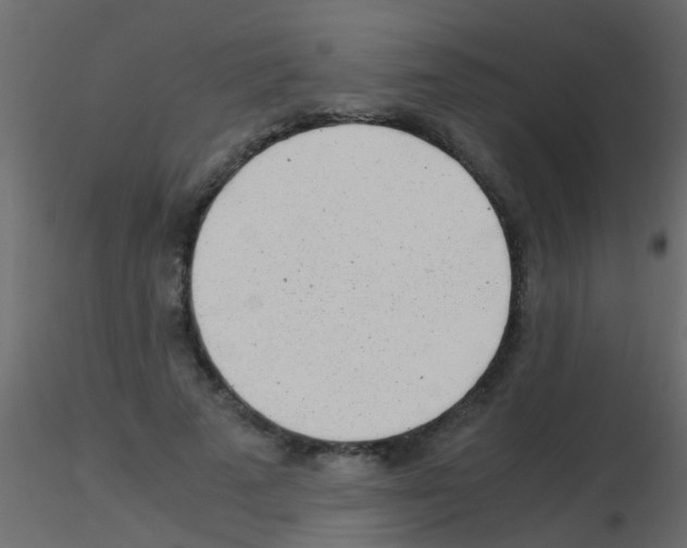 X0000115820689200912241935