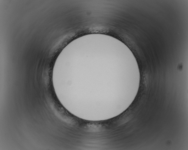 X0000115820690200912241935