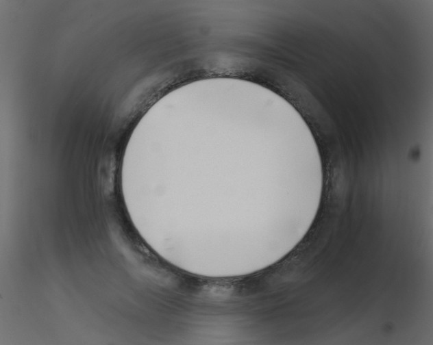 X0000115820694200912241935