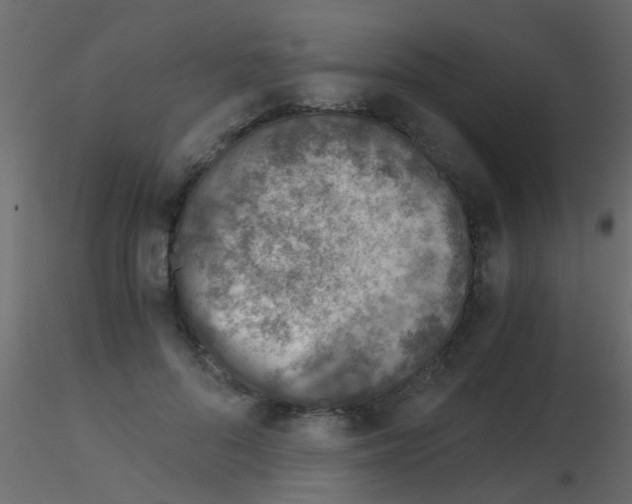 X0000115820696200912241935