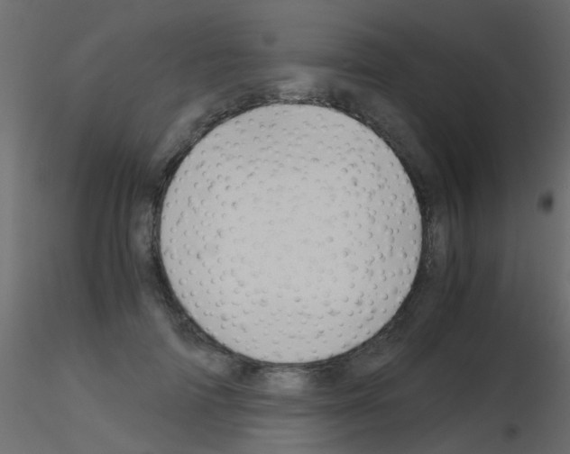 X0000115820698200912241935