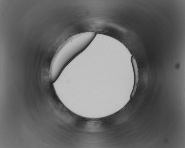 X0000115820700200912241935