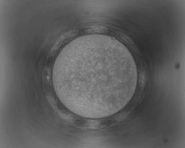 X0000115820701200912241935