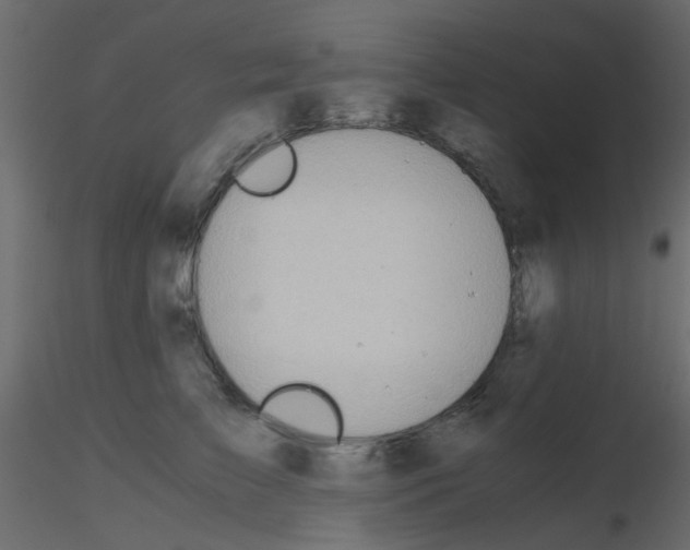 X0000115820709200912241935