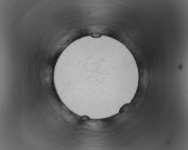 X0000115820712200912241935