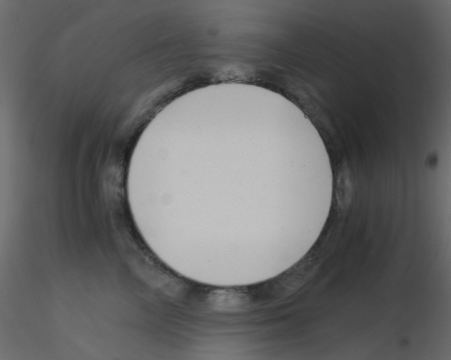 X0000115820714200912241935