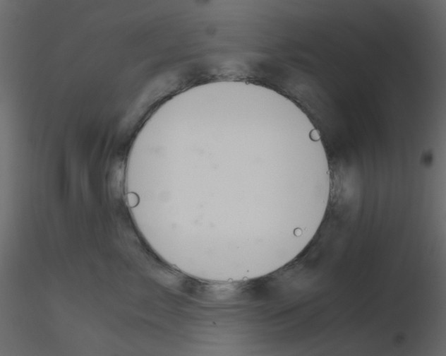 X0000115820717200912241935