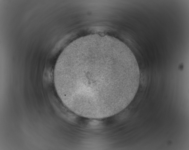 X0000115820718200912241935