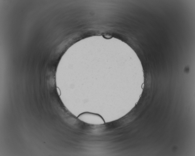 X0000115820719200912241935