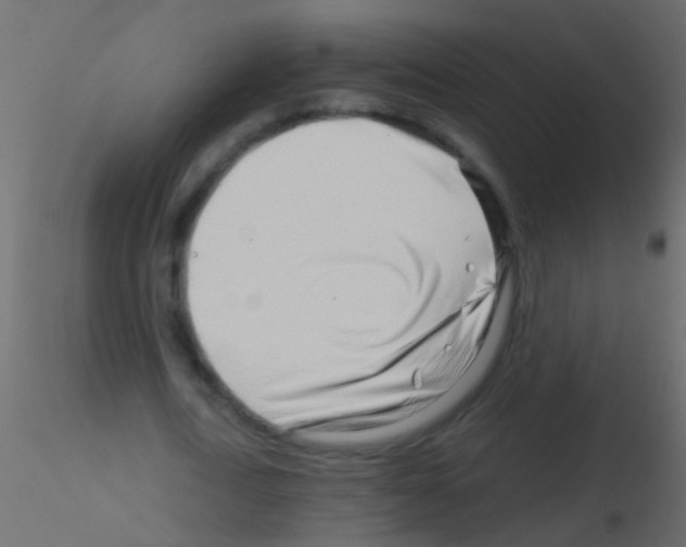 X0000115820722200912241934