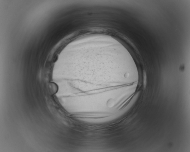 X0000115820723200912241934