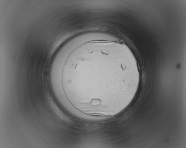 X0000115820725200912241934