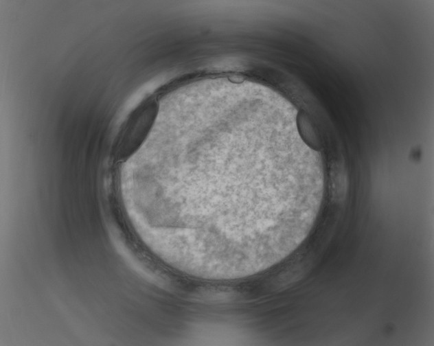 X0000115820726200912241934