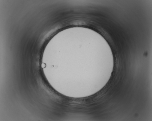 X0000115820727200912241934