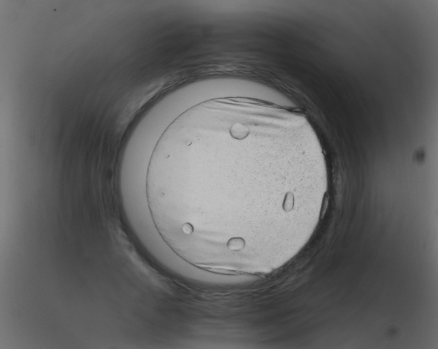 X0000115820729200912241934