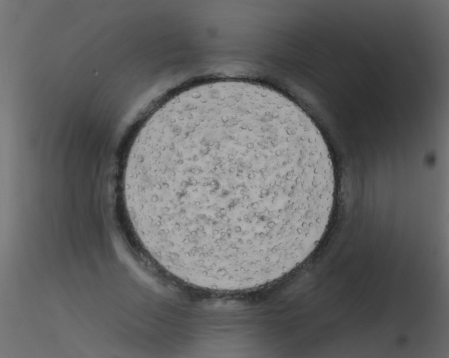 X0000115820730200912241934