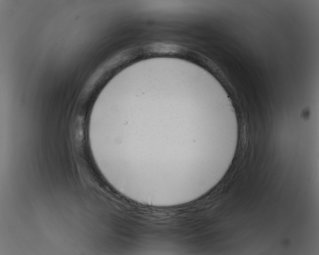 X0000115820731200912241934