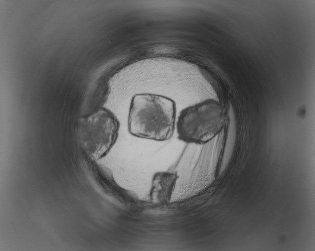 X0000115820733200912241934