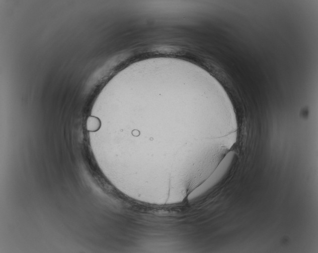 X0000115820734200912241934