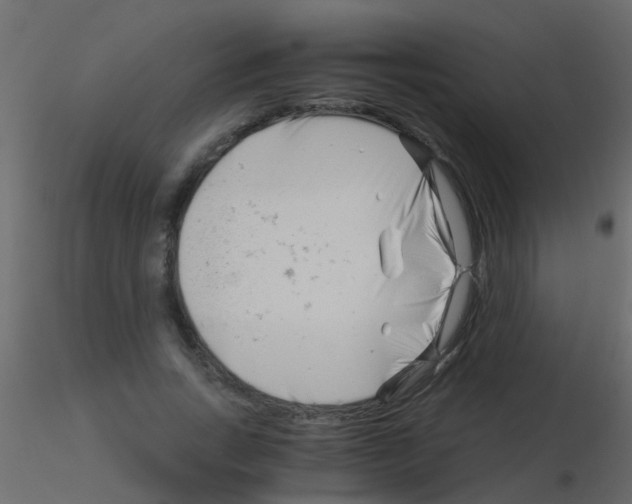 X0000115820735200912241934