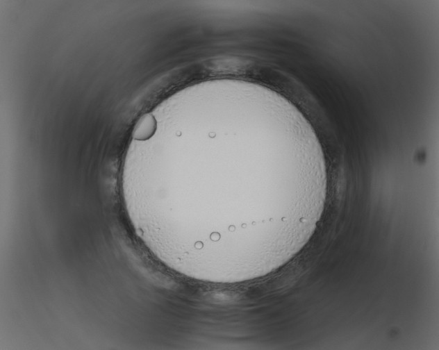 X0000115820737200912241934