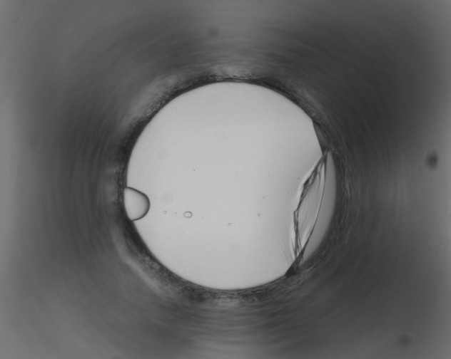 X0000115820738200912241934