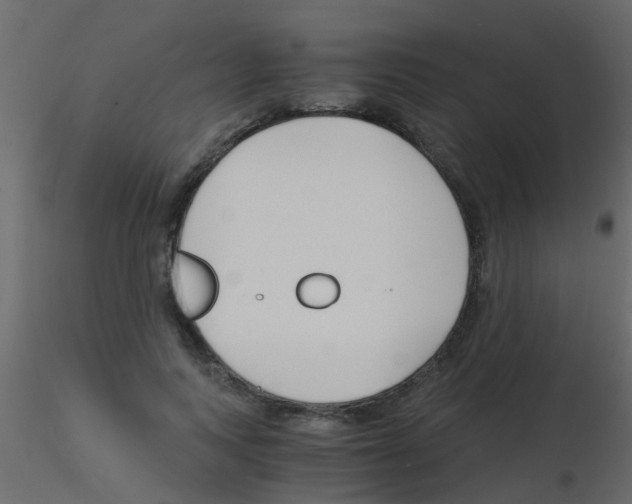 X0000115820743200912241934