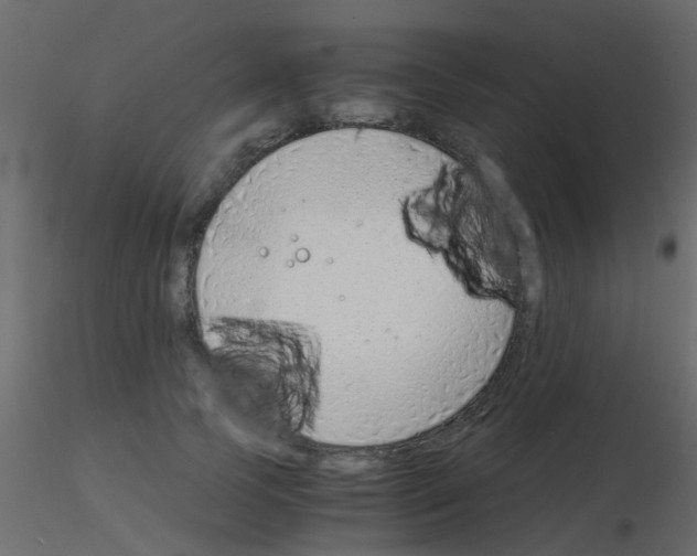 X0000115820745200912241934