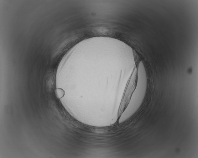 X0000115820746200912241934