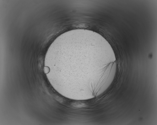 X0000115820747200912241934