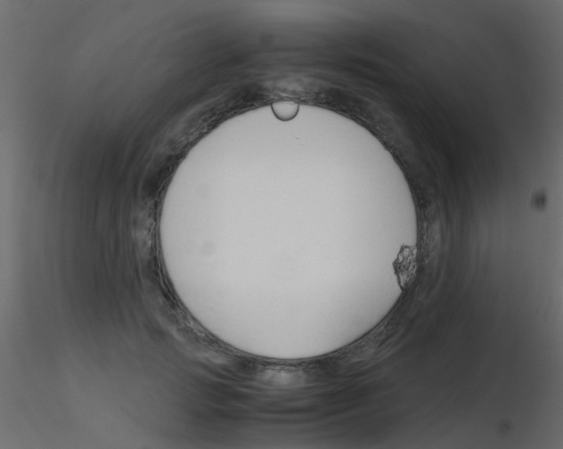 X0000115820749200912241935