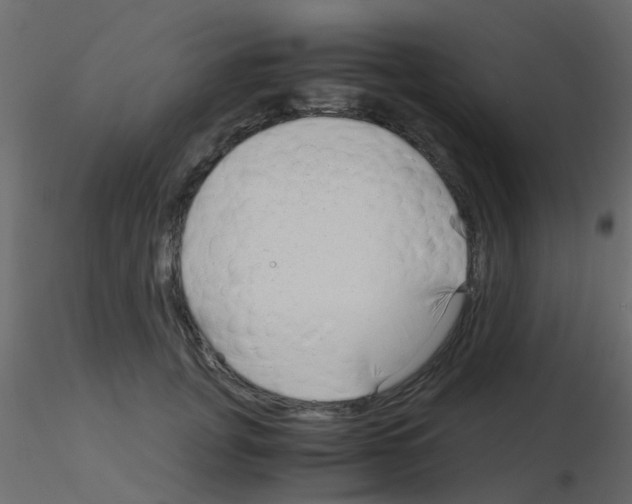 X0000115820751200912241935