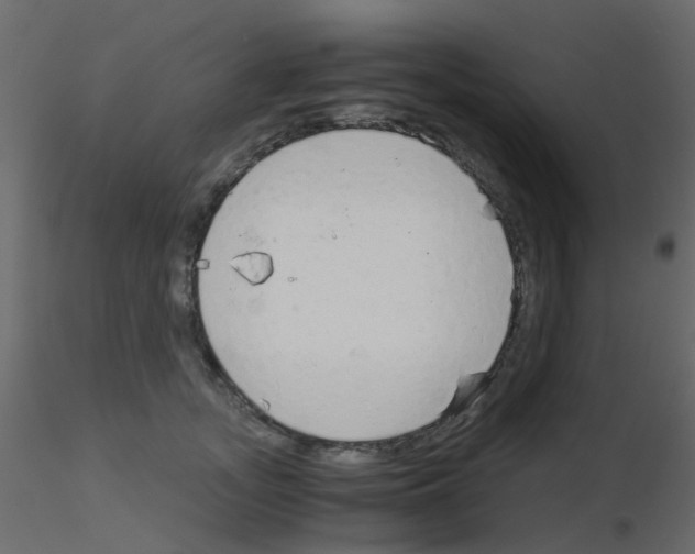 X0000115820755200912241935