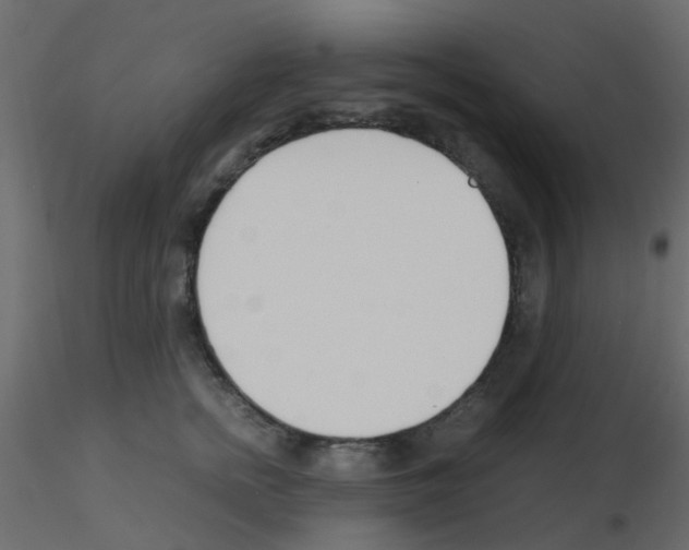 X0000115820758200912241935