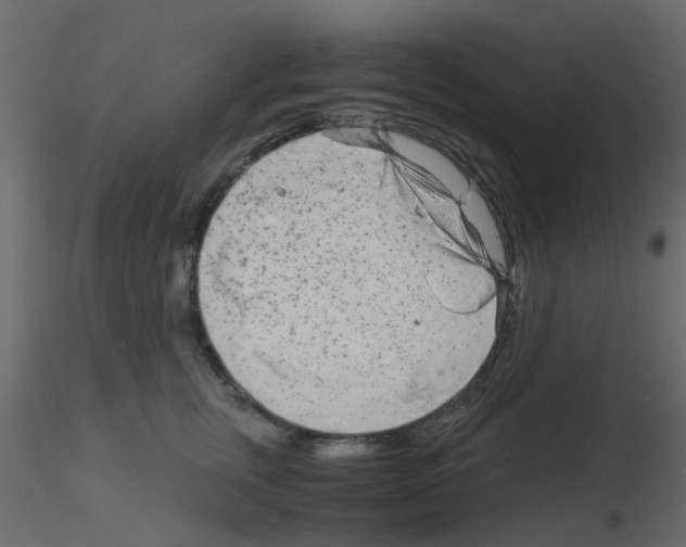 X0000115820759200912241935