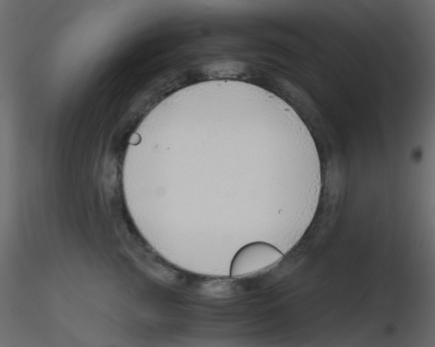 X0000115820761200912241935