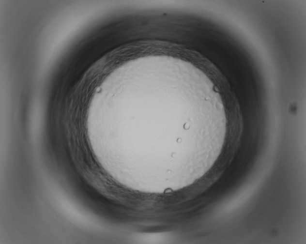 X0000115820765200912241935