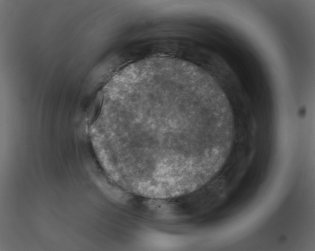 X0000115820766200912241935