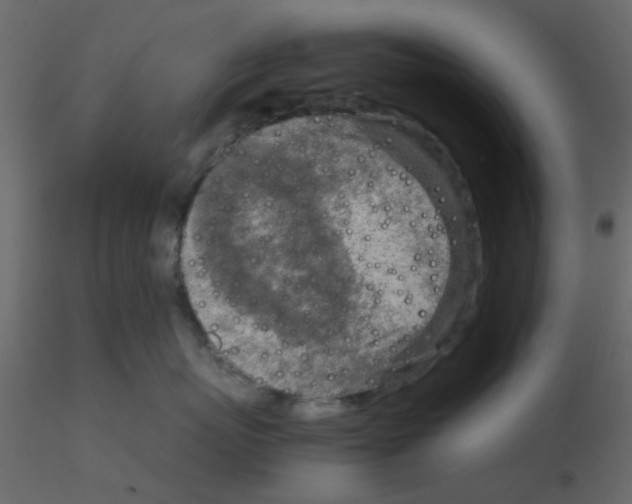 X0000115820767200912241935