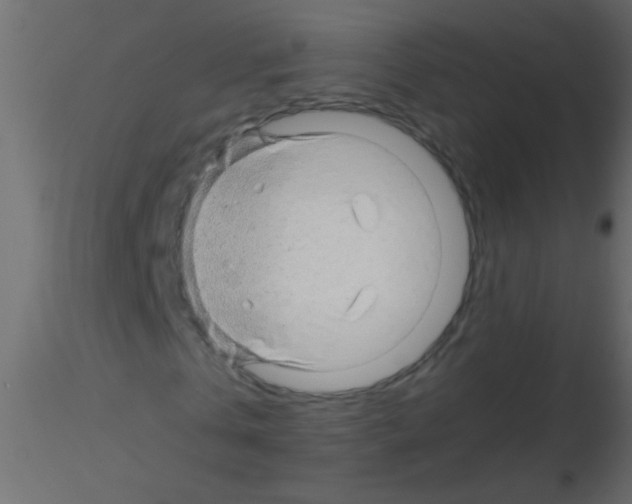 X0000115820769200912241934