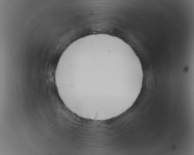 X0000115820770200912241934