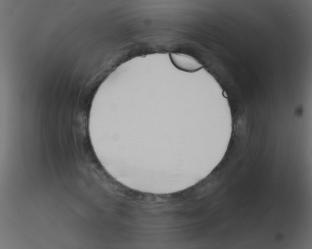 X0000115820772200912241934