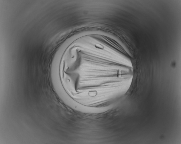 X0000115820773200912241934